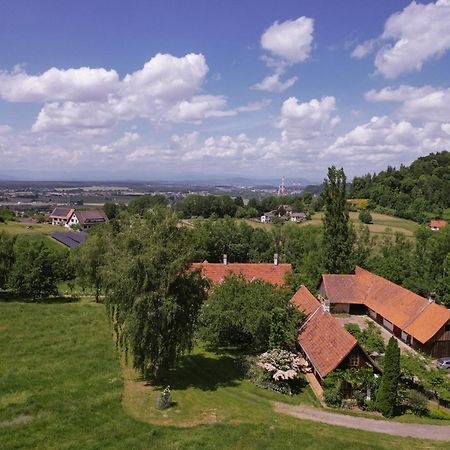 Appartement Lexsimihof à Wildon Extérieur photo