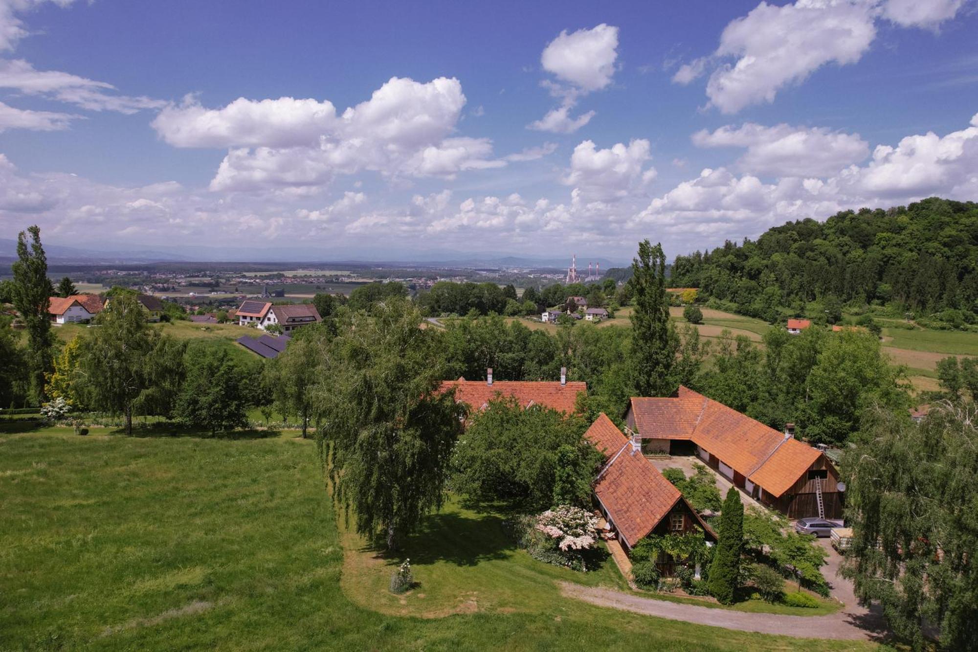 Appartement Lexsimihof à Wildon Extérieur photo